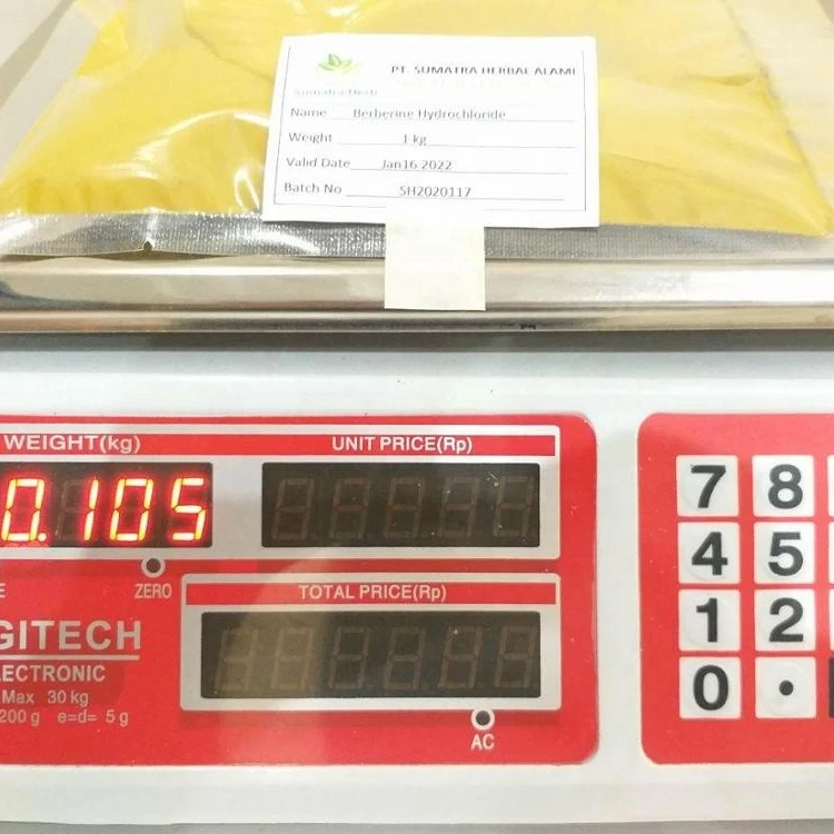 
Natural Berberis Aristata extract Rhizoma Coptis Berberine Powder Origin Indonesia 