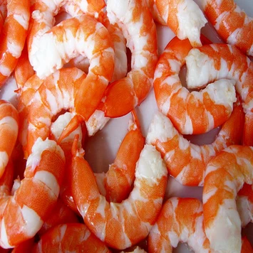 
Raw Fresh Frozen Shelf Life 24 Months / Indian Origin Frozen Vannamei Shrimp 