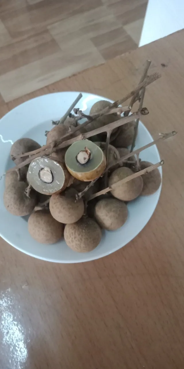 Best Price New Crop Organic Natural Fruit Ripe Maturity Fresh Brittle Meat Dimocarpus Longan From Vietnam Manufacturer