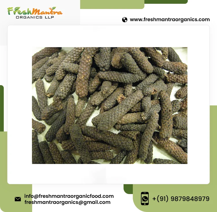 Indian Piper 100% Organic Ayurvedic Herb