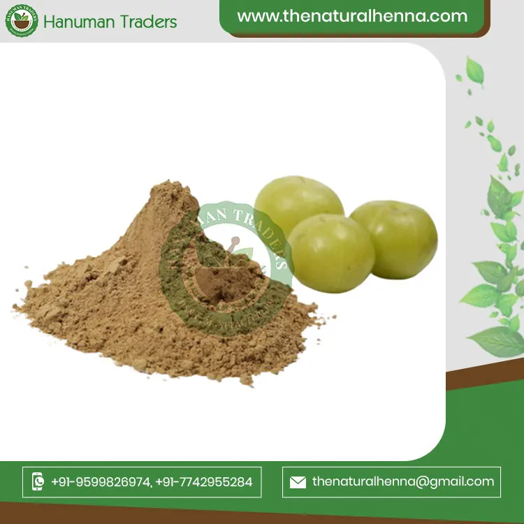 Premium Quality Natural Organic Indian Gooseberry Amla Powder For Hair Top Quality Bulk Supplier From India