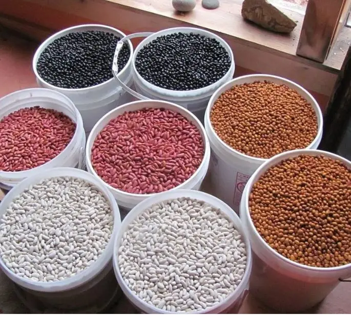 Белая фасоль длинной формы, большая белая фасоль.