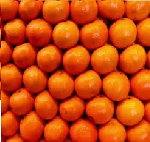 A Grade Excellent  100% Top High Quality Cheapest Factory price Whole sale Fresh Mandarin Orange  tangerine