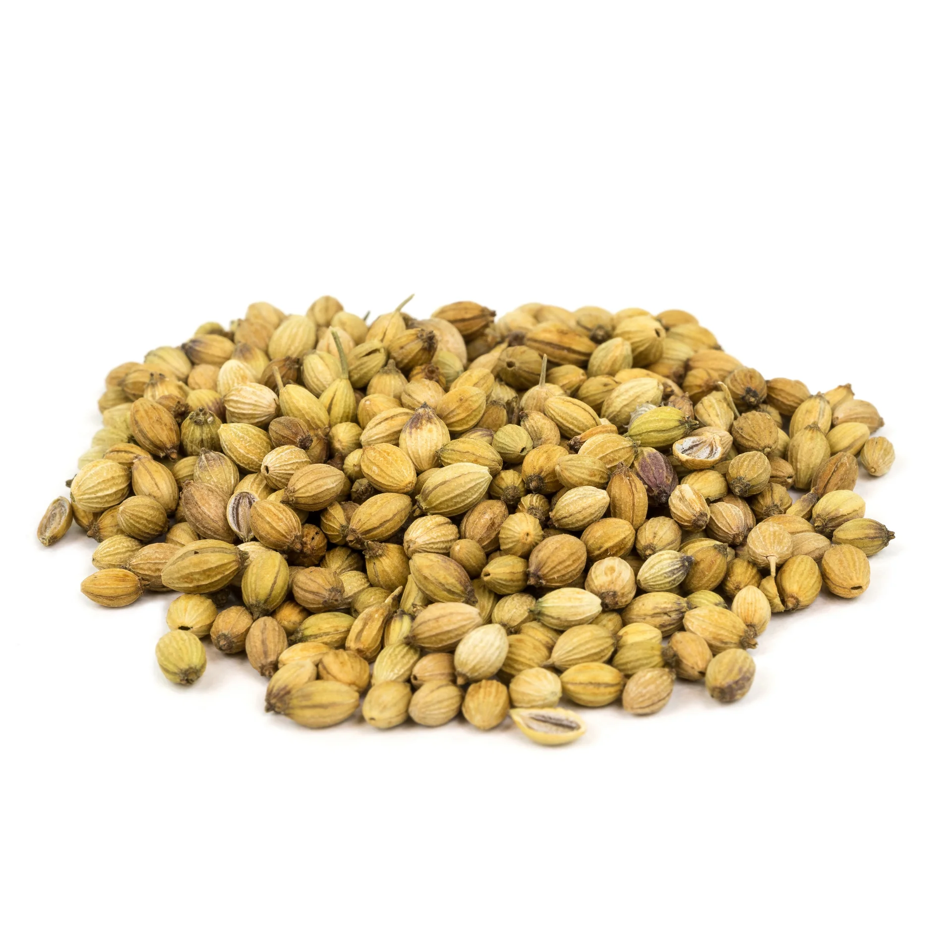 Coriander seeds - High quality