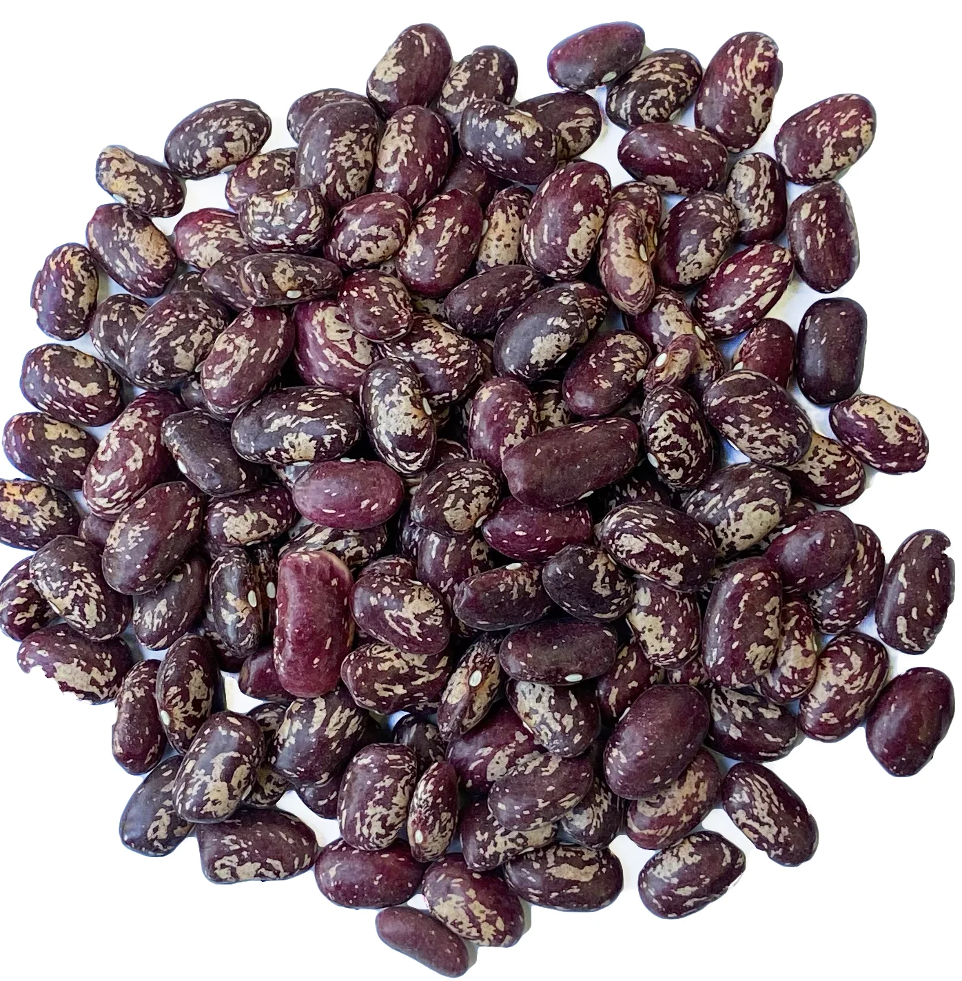 Crop 2021 October wholesale premium grade from Uzbekistan bags 25 kg natural dried purple speckled beans