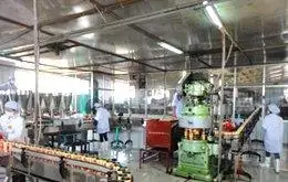 Canned Instant Green Bean Congee from Vietnam - No Preservative