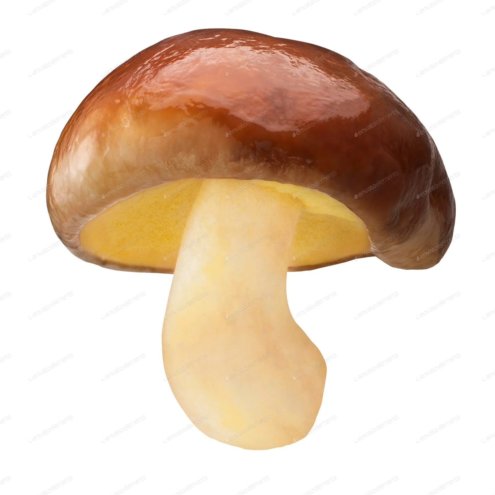 
Natural magic mushrooms dried with good quality 
