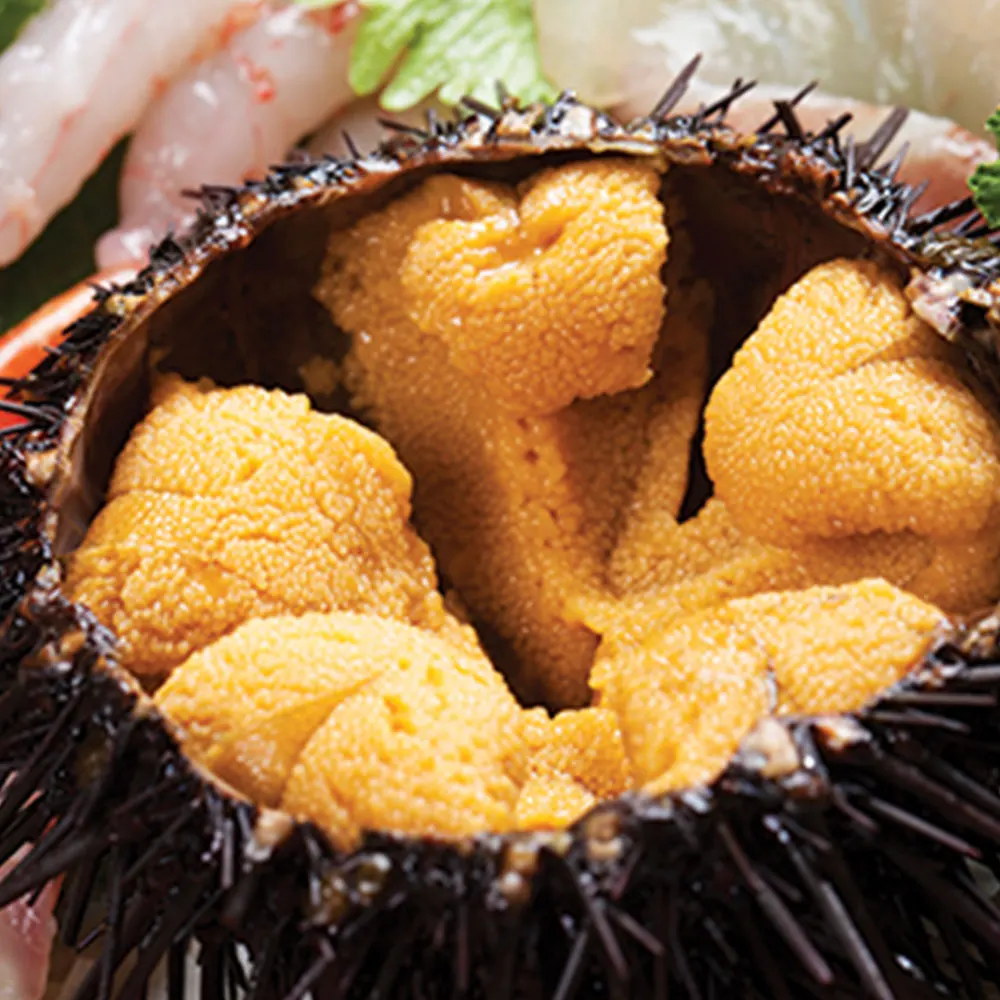 
Frozen Sea Urchin Roe 