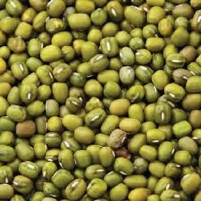 NEW  green mung bean