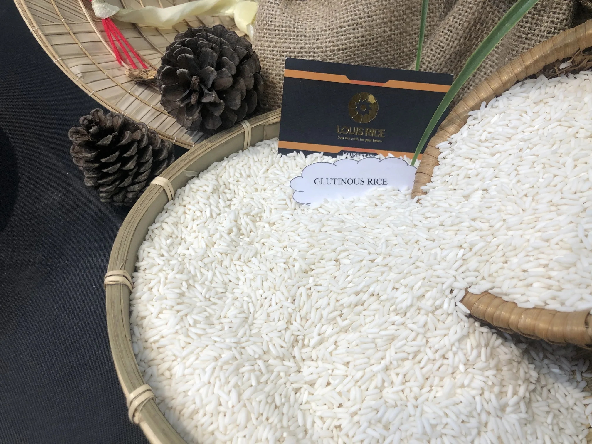 Лидер продаж 10% Сломанный глютиновый рис Long An