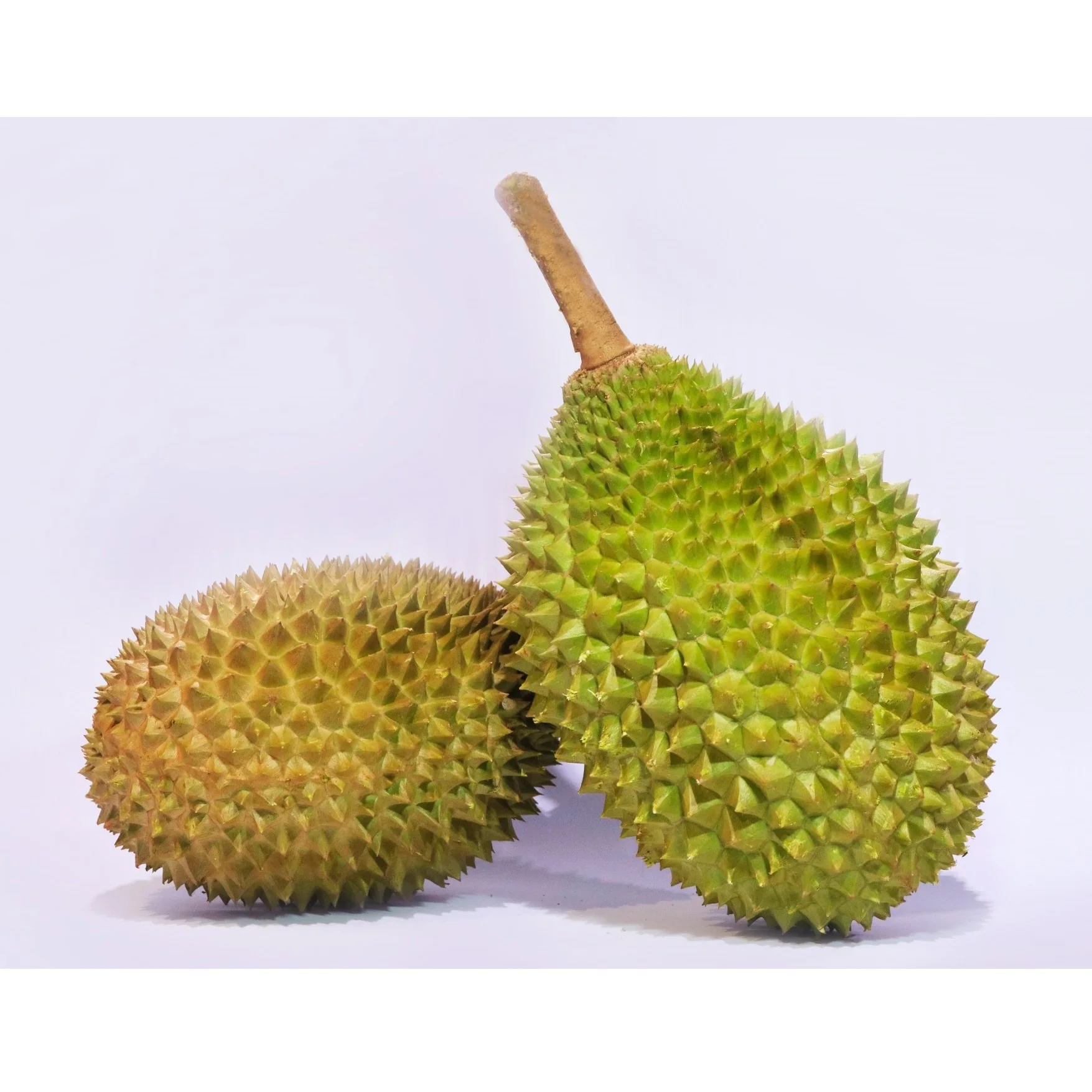 High Quality Fresh Durians IOI AA D168 from Top Malaysia Durian Fruit Supplier HALAL