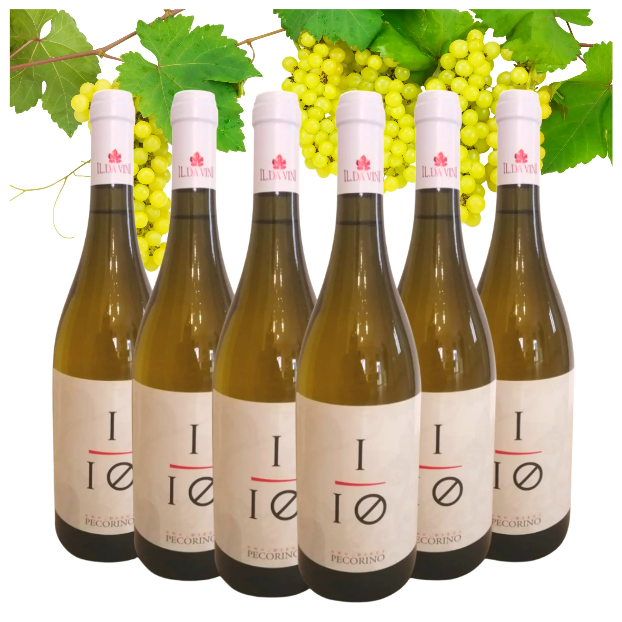 Top Italian White Wine - Pecorino IGT 2019 Ilda - White wine bottles 750 ml alcohol 13% for export