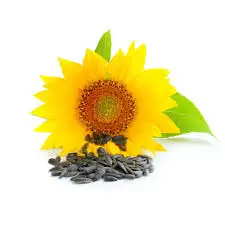 
Factory Price Refined Sunflower oil Approved & Certified 