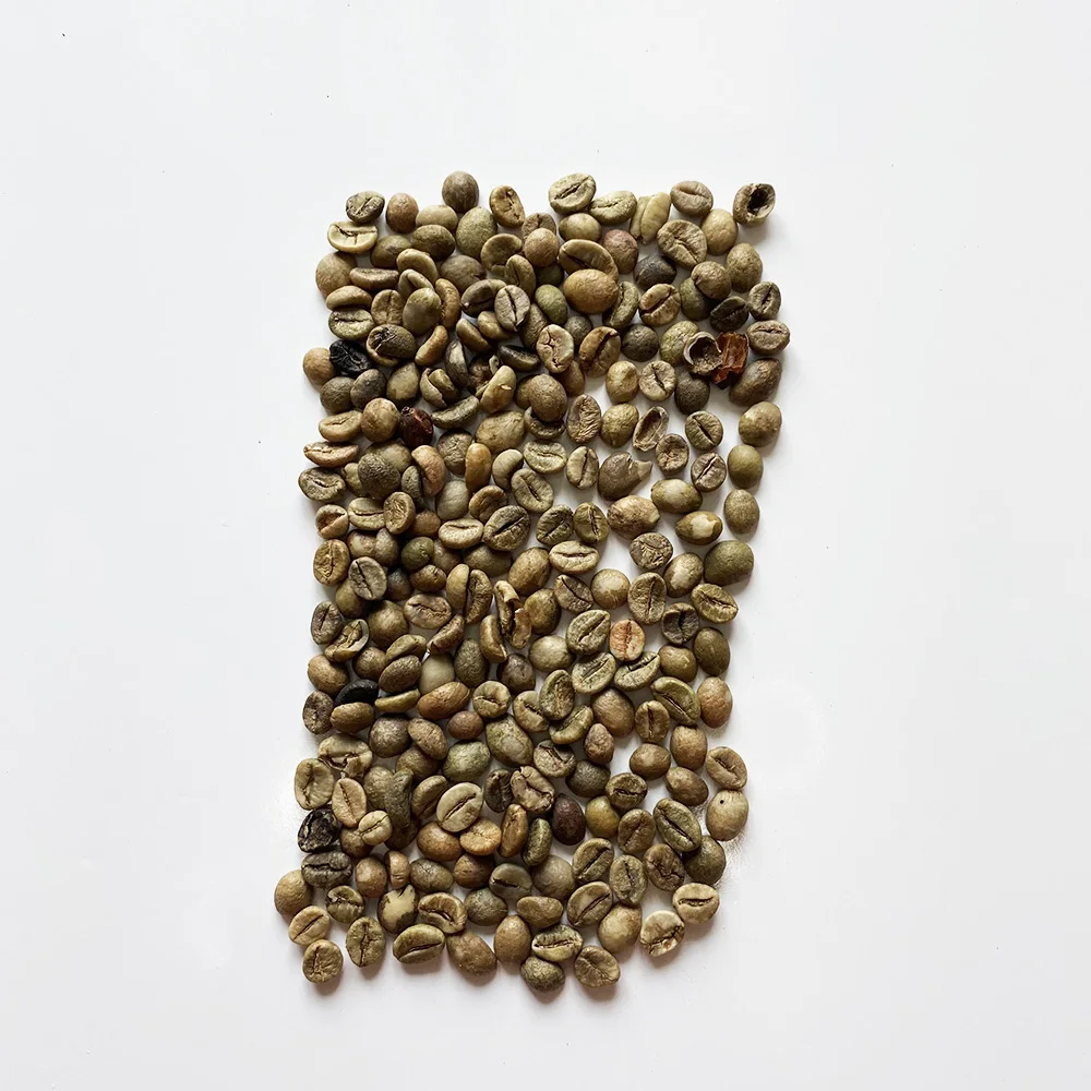 Food & beverage coffee beans arabica raw robusta coffee bean drinks green coffee bean extract