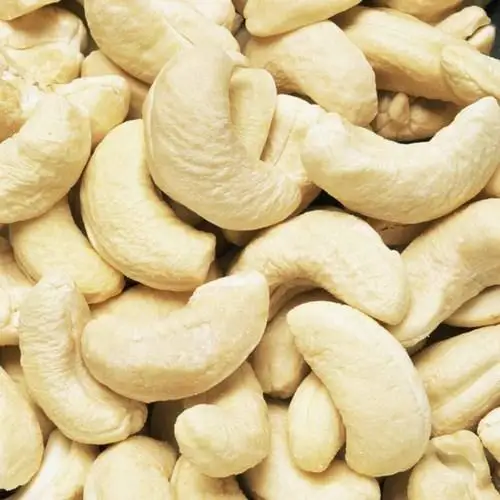 Hot sale raw dried no shell cashew nuts and kernels seeds brazil