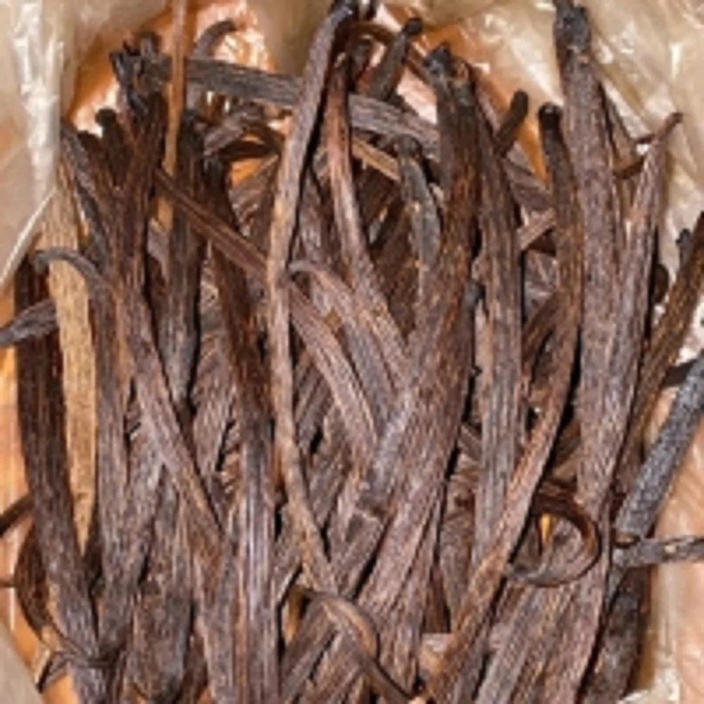 Vanilla Tahitensis Beans