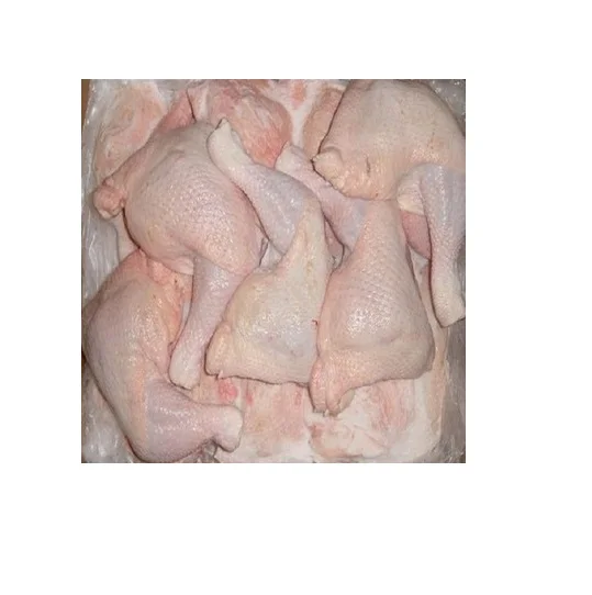 
Frozen Halal Chicken leg quarter Wholesale supplier 100% High quality cheap rate Bulk Quantity 