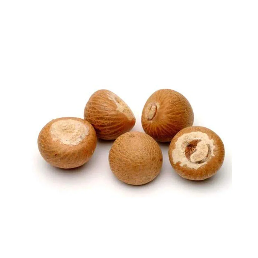Hot Sale New Crop 2022 Betel Nuts, Dried Betel Nut, Betel Nuts Ready To Export