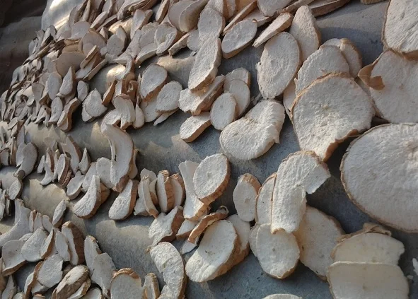 Dried Cassava Chips, Dried Cassava Chips Suppliers Directory -, Manufacturers, Company VIET NAM Fresh Tapioca and dried tapioca
