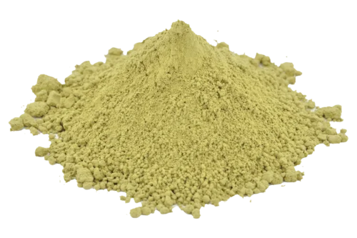 Shankhpushpi Organic Powder also known as Convolvulus prostratus