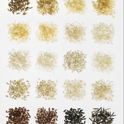 
SUPPLIER OF LONG GRAIN WHITE RICE 