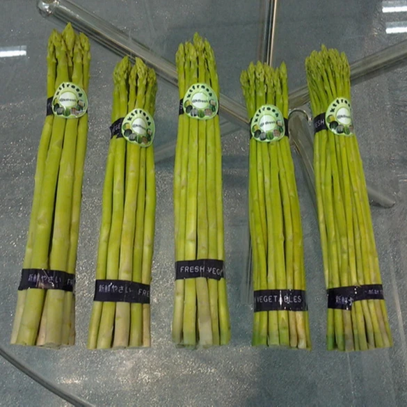 
Asparagus 