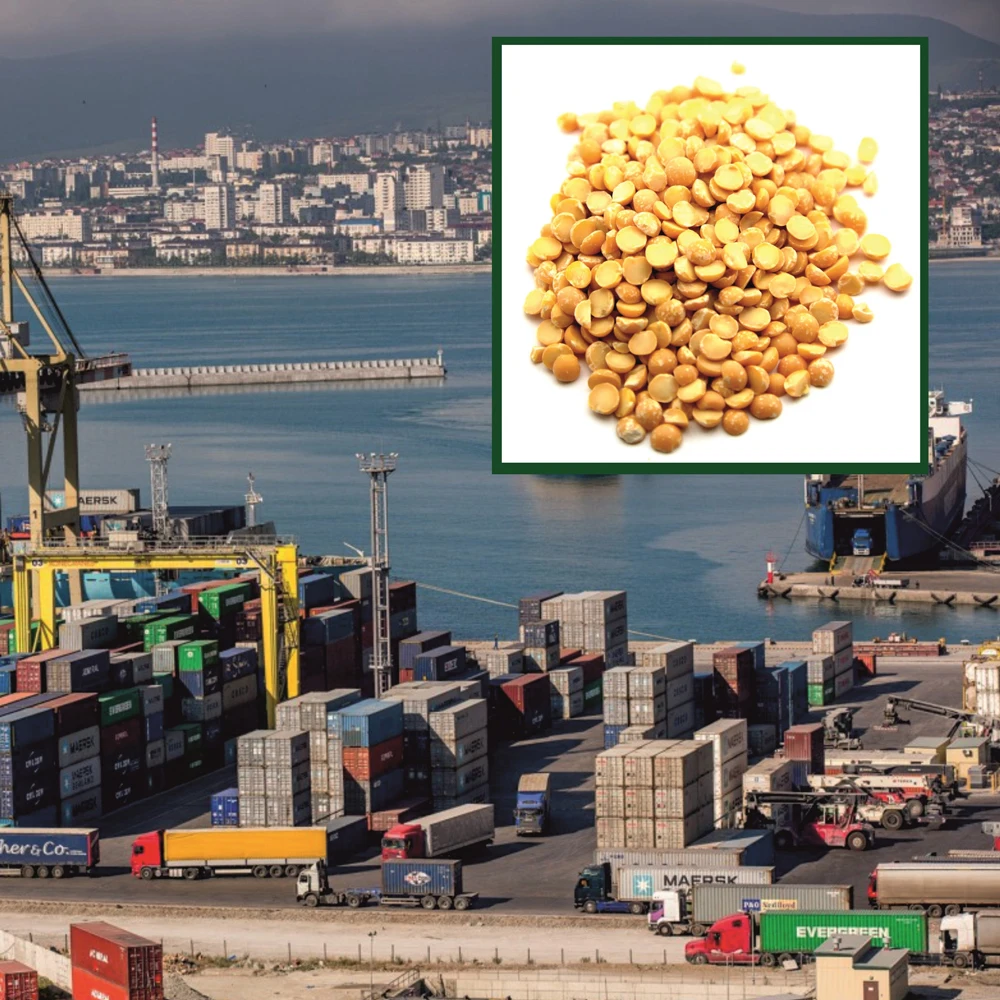 High quality split peas yellow 15/25/50 kg bags or in bulk, in stock