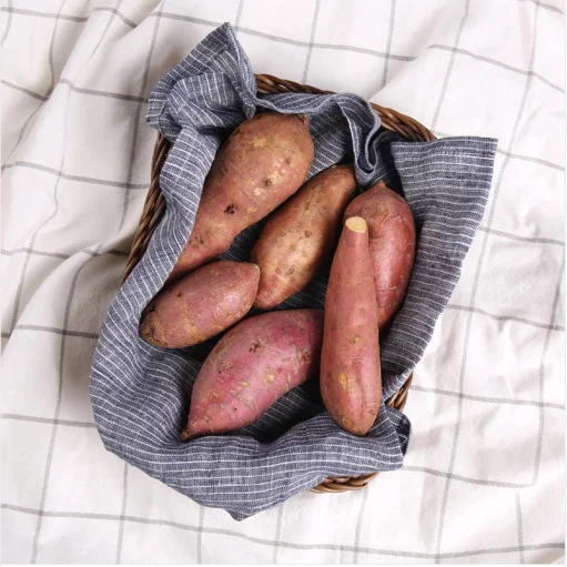  Лидер продаж 1 2021 долларов экспорт японского сладкого картофеля из Вьетнама для оптовой продажи/Ms Sofia + 84 789946878