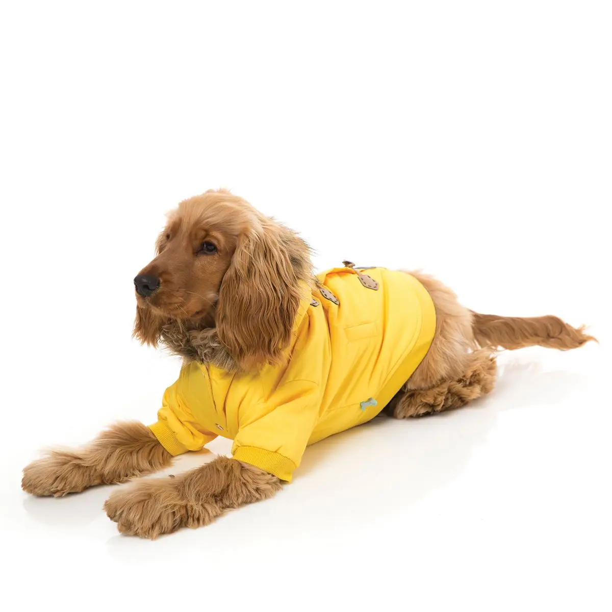 Moscow Duffel Jacket - Yellow Comfortable Adventure Jacket Pet Clothes Recycled Pet Clothes for Dog