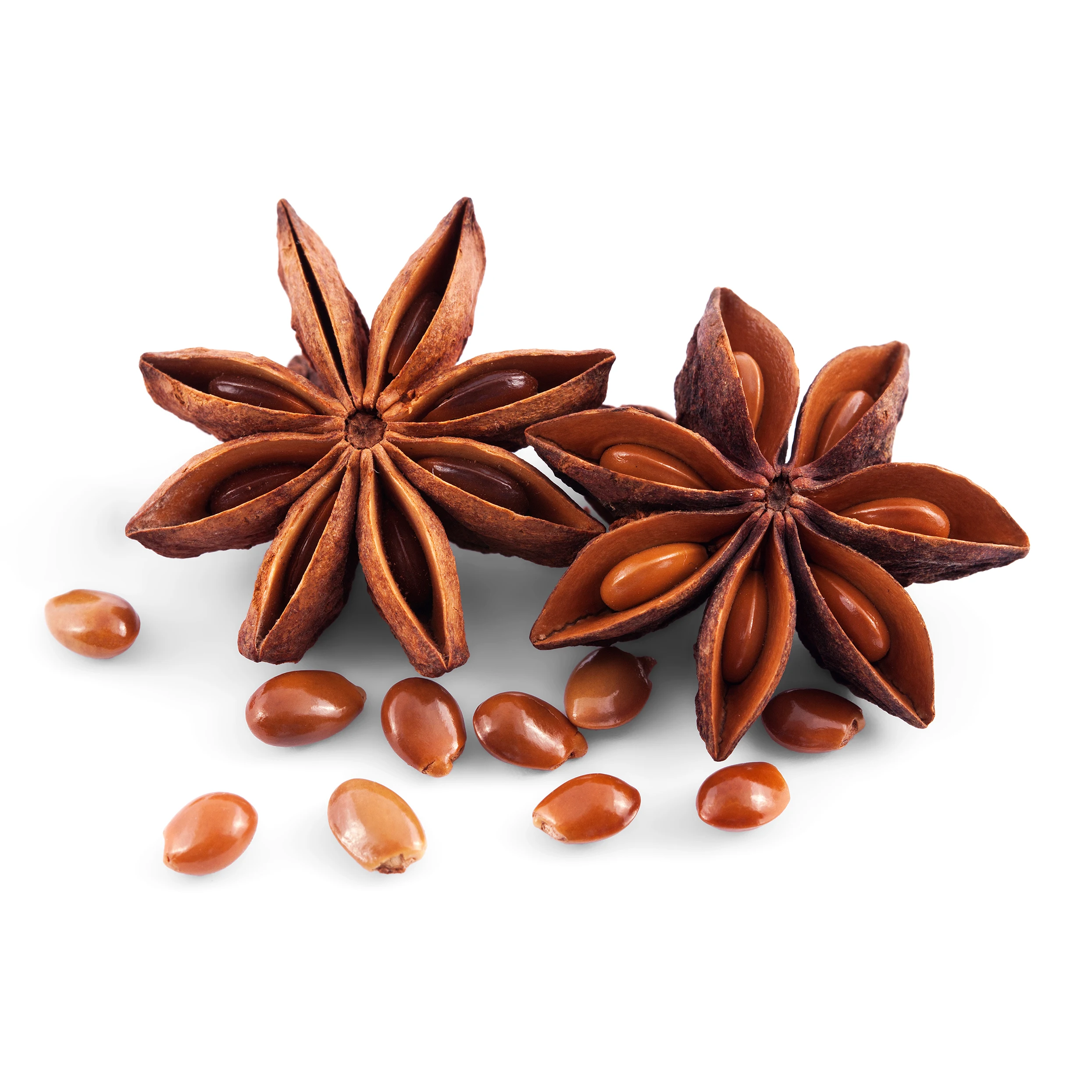 Bulk Star Anise Essential Oil 100% Pure Best Price Aromatherapy Vietnam Organic Natural  Oil Factory Heath care Scentoil