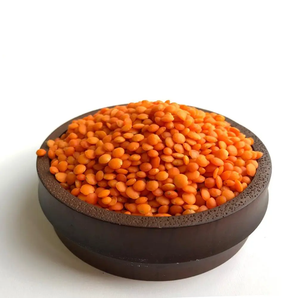 Premium Quality Canadian Red Lentils