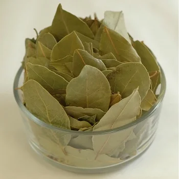 
Bay Leaves /Bay Leaves, Bay Leaves Powder cheap price 