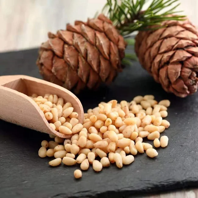 Best Price Pine Nut Pine Nut Price Siberia Mongolia and Russia pinus cedar pine nut kernel