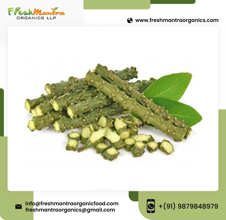 Guduchi & Giloy Herbal Powder Best For Healthy Immune System Natural Transport Cordifolia Guduchi, Gurjo, Heart-Leaved Moon seed