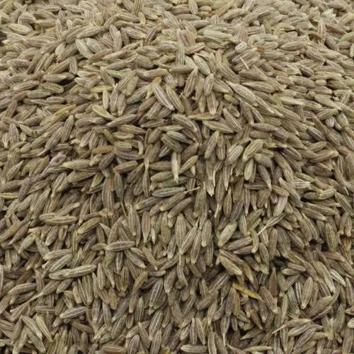 Premium Quality Wholesale Factory Supply Indian cumin Seed/Jeera -Indian Kadha for improve immunity