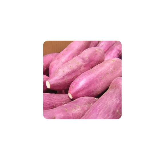  Pрешетка конкурентоспособная-сладкий картофель экспорт из Вьетнама/г-жа Анита + 84 333522345