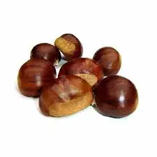 
New crop chestnut price/Chestnut from China/Wholesale chestnut 
