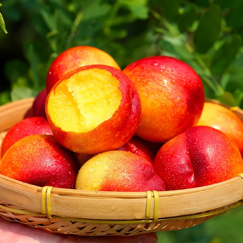  Свежие персики и нектарины для продажи