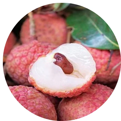 FRUIT SEASON-HEALTHY FRUIT/ FRESH LYCHEE FRUIT FROM VIETNAM- CHEAP PRICE- MS. Ahri +84 328334958  ( Whapsapp )