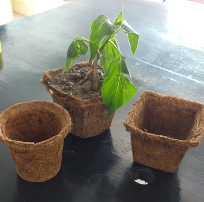 Popular Modern Standard Best Coir Flowerpot Garden Pot Plant Pot Planter Green Flower Stock Lots Best Selling Design Style