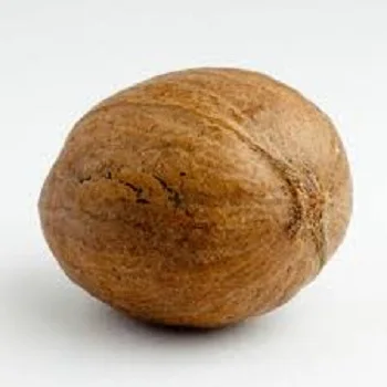 
High Quality Raw Pecan Nuts 