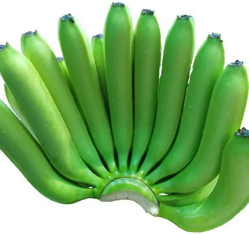 Best Quality Indian Cavendish Banana