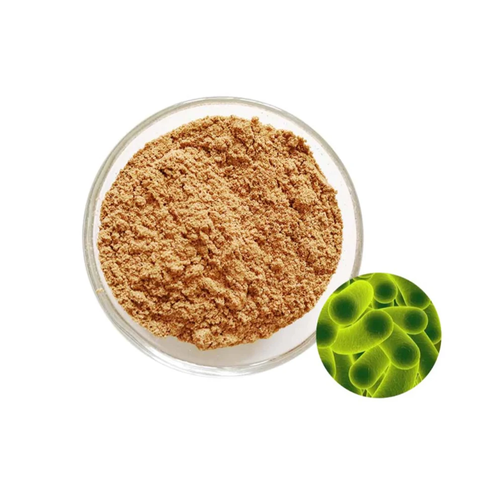 
Export Quality Bacillus Licheniformis Probiotics - Zealmax Biopharma 