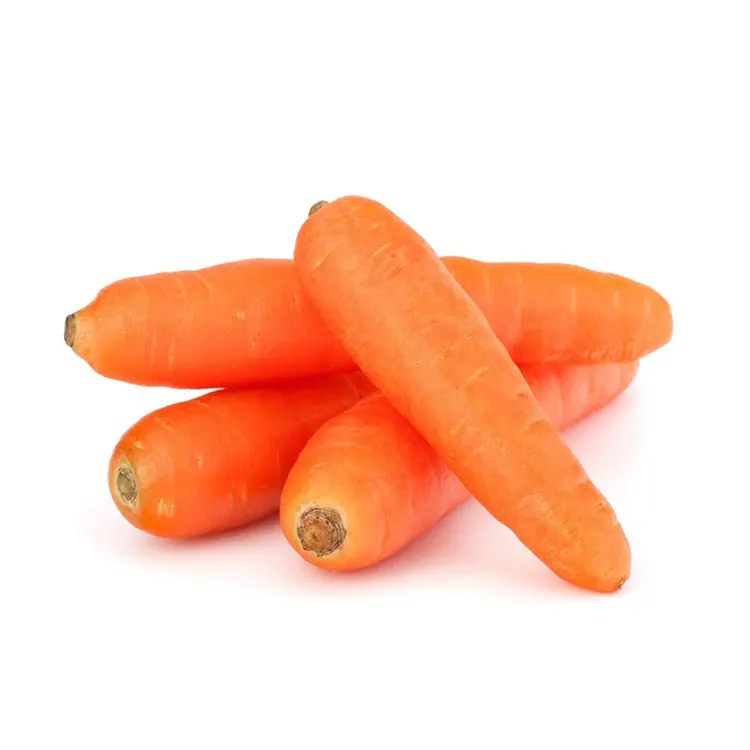 fresh carrot with low price red healthy carrots
