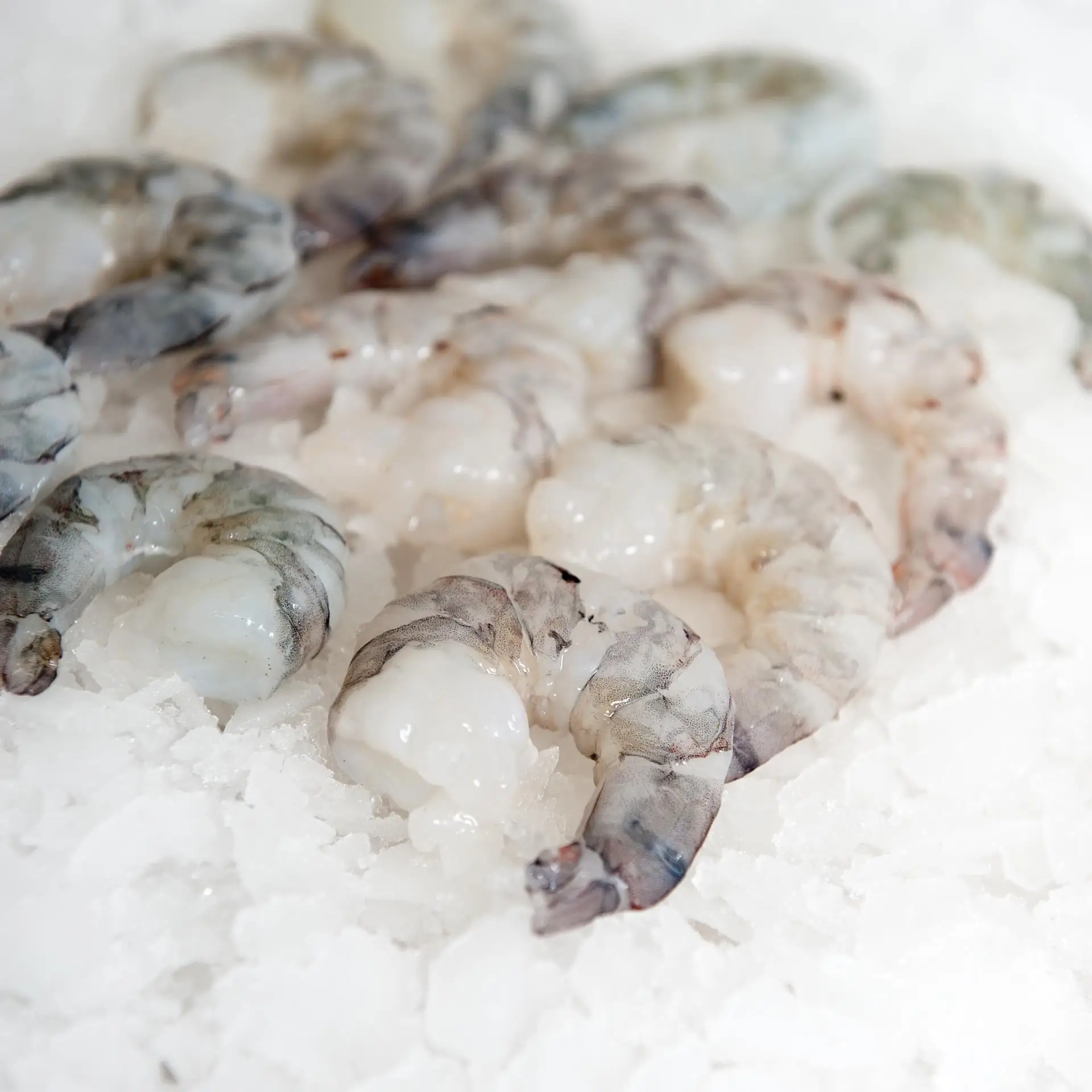 FROZEN HEADLESS SHELL ON VANNAMEI SHRIMPS