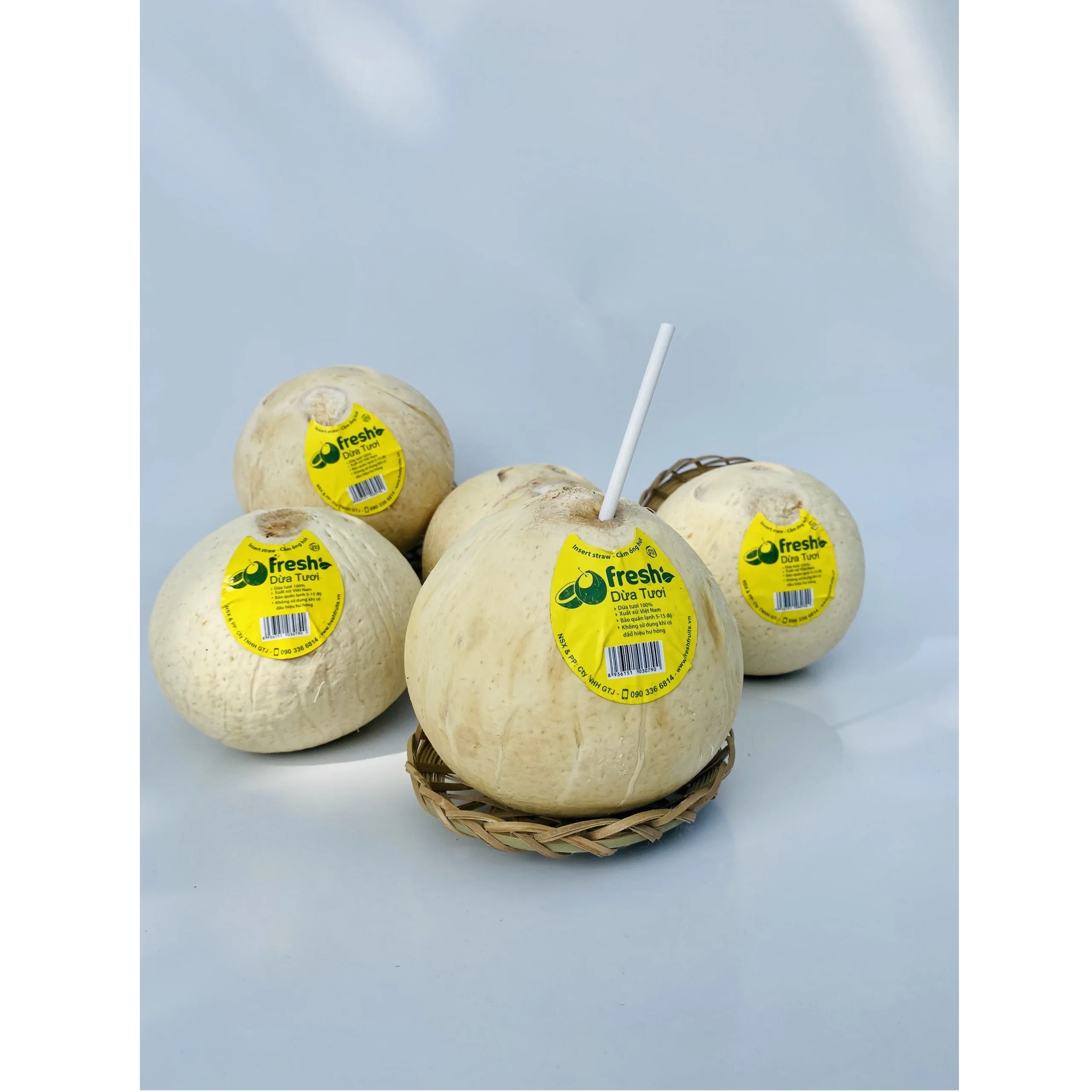 100% fresh coconuts Mekong Delta  Four Weeks Shell Life  Young Coconut Fresh Convenient Coconut from Vietnam