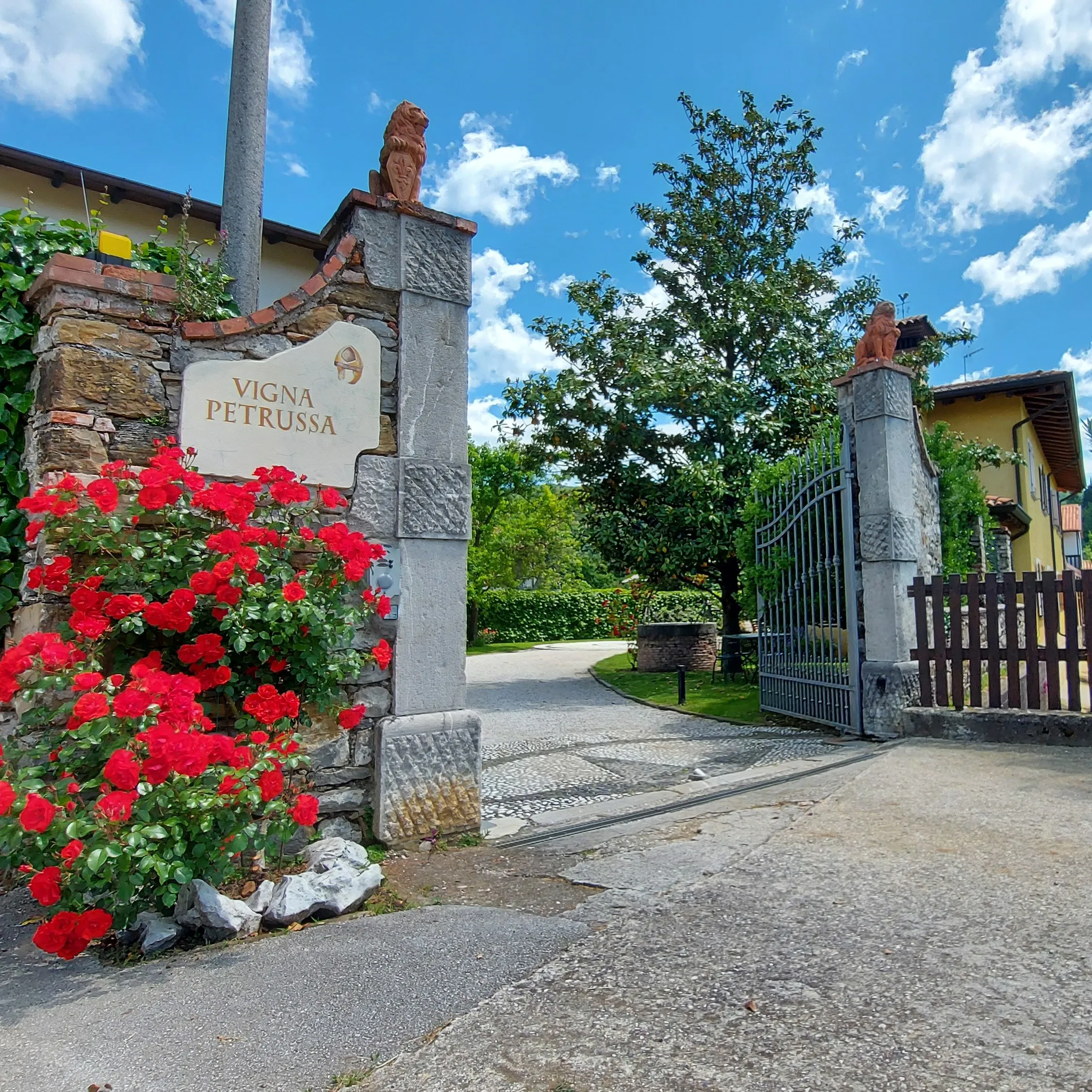 Vigna Petrussa Unique Special selection quality SCHIOPPETTINO DI PREPOTTO doc 1500cl Italian Red Wine for restaurant bar