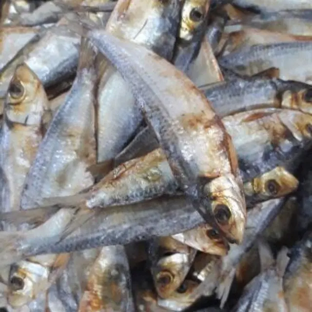 PACKED HERRING DRIED FISHES VIET DELTA / Vivian Ha +84 33 88 20 462