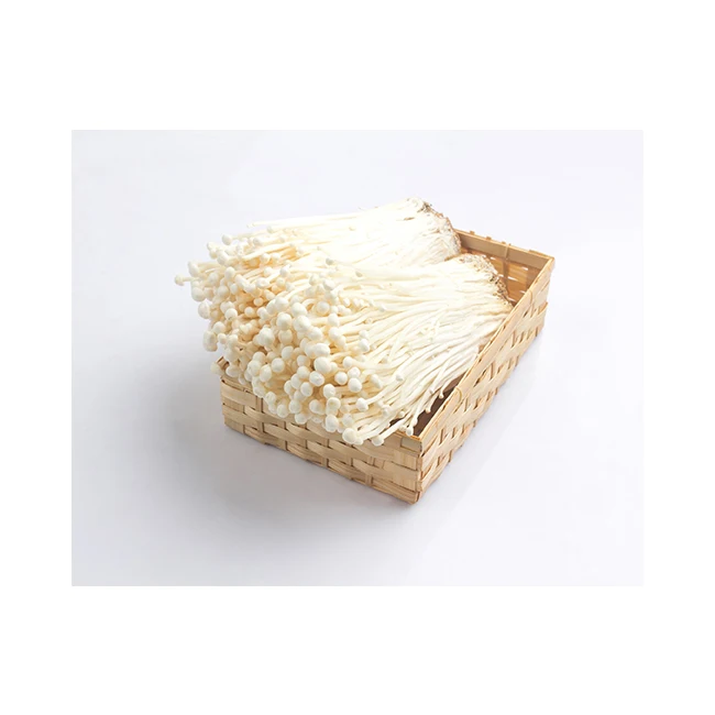 
Enoki Mushroom Packaging Organic Fresh and Delicious High Quaity for Export 