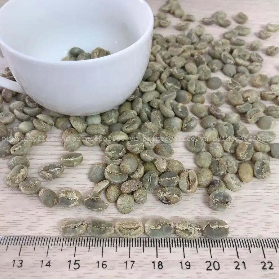  Vietnnam оптовая цена кофейные зерна Arabica высококачественные зеленые необработанные